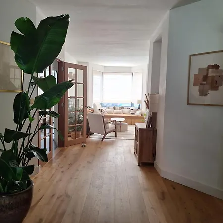 Sunny House With Garden In Scheveningen! *